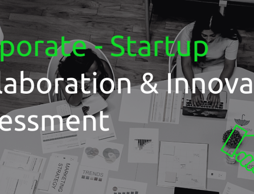Tools for Expert Corporate – Startup Collaboration
