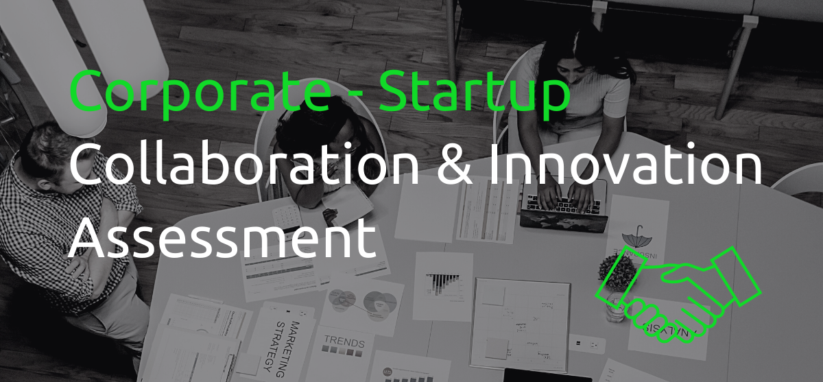 Tools for Expert Corporate – Startup Collaboration
