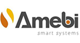 Startup SME Connection - Amebi