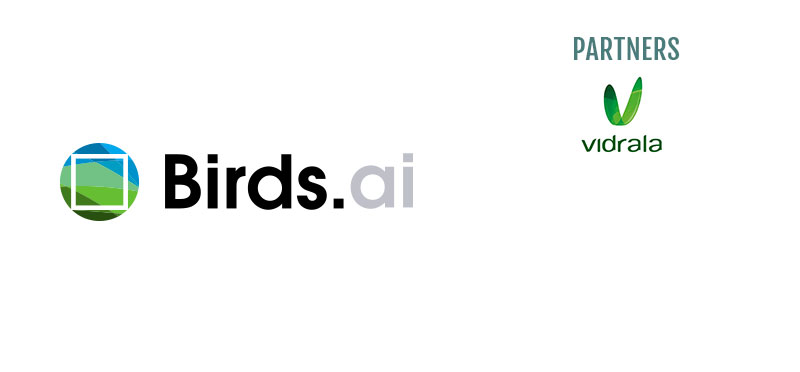 BIRDS.AI BIND 40 Acceleration Program Startup